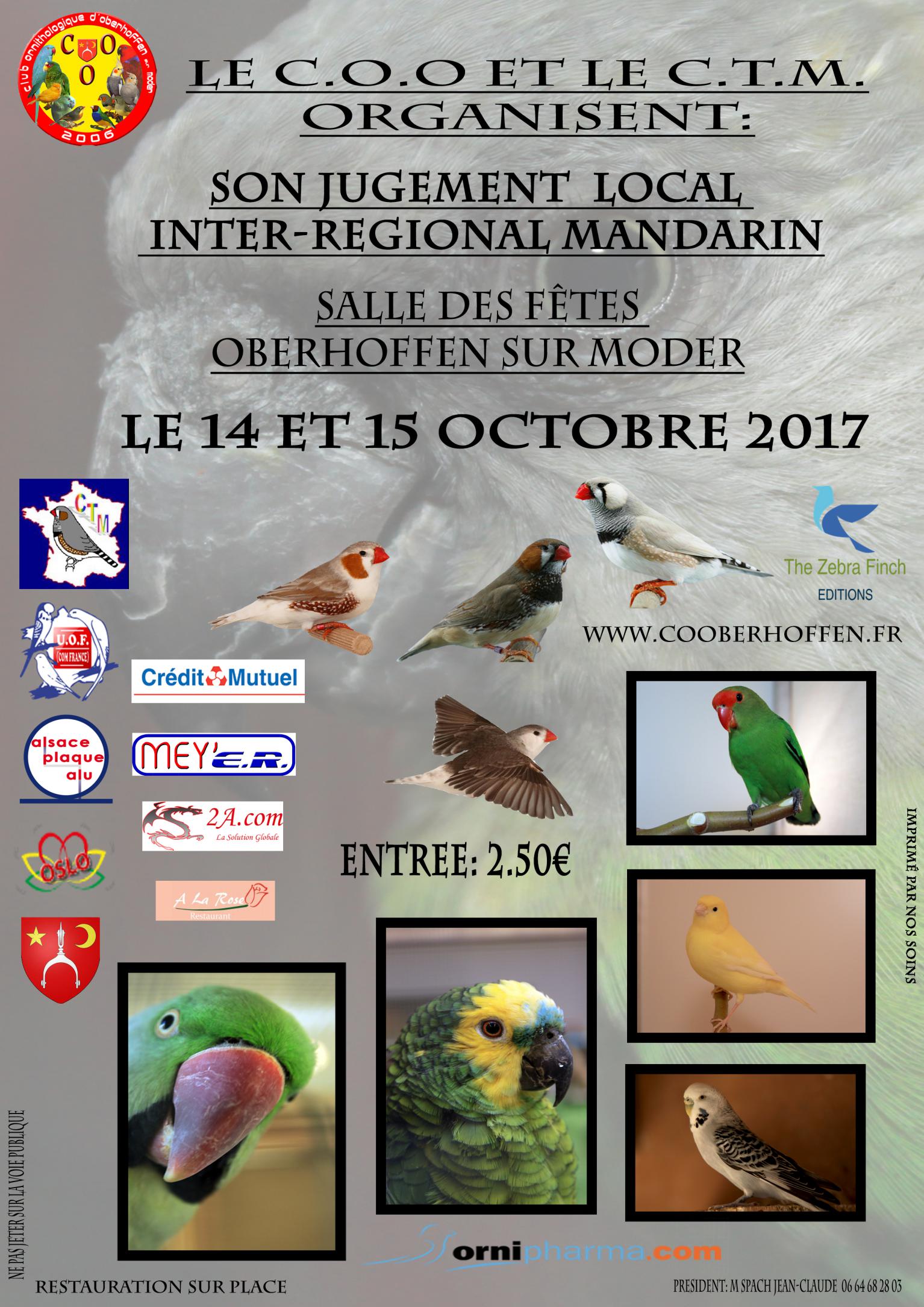 Jugement d'oiseaux exotique du COO, club ornithologique de Oberhoffen sur moder