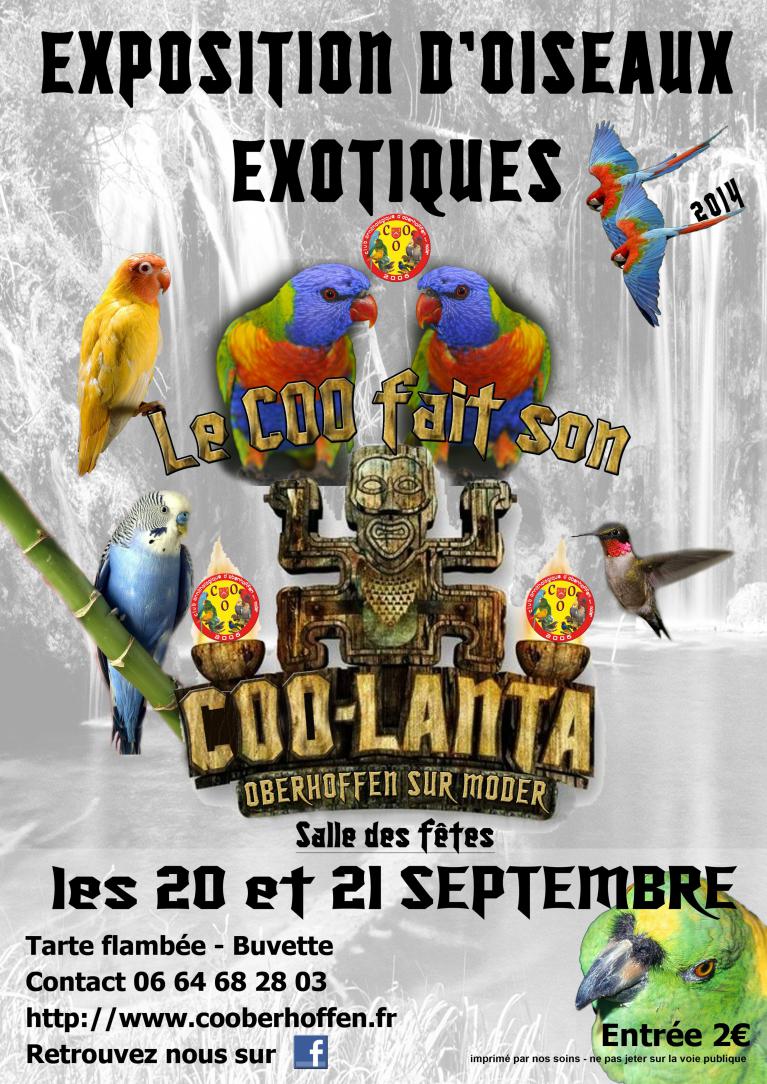 Exposition d'oiseaux exotique du COO, 2014, club ornithologique de Oberhoffen sur moder