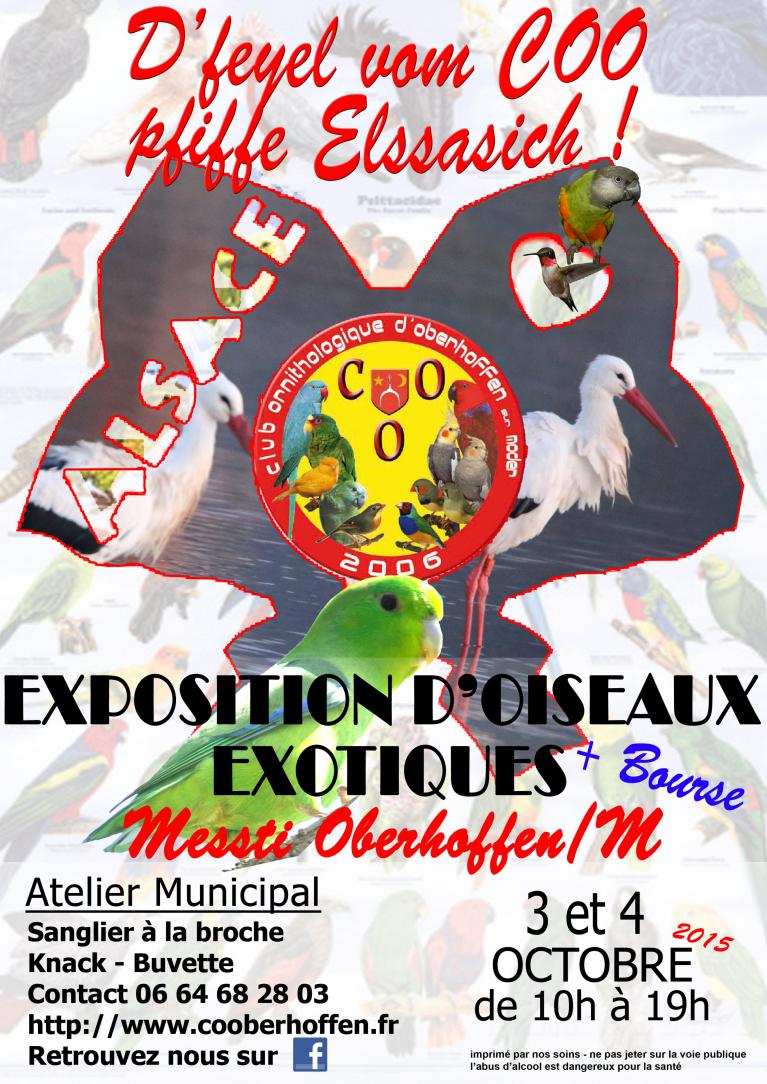 Exposition d'oiseaux exotique du COO, 2015, club ornithologique de Oberhoffen sur moder